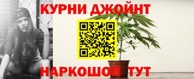 ГАЛЛЮЦИНОГЕННЫЕ ГРИБЫ Кинель
