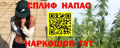 стаф Балашиха