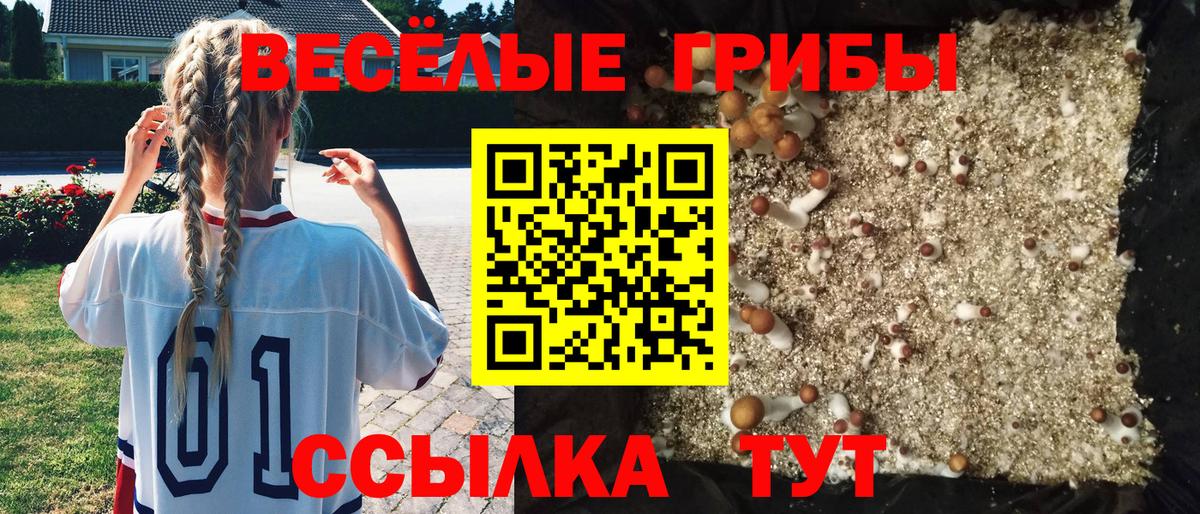 Симферополь  Галлюциногенные грибы Psilocybe  Вход с VPN  Псилоцибиновые грибы Magic Shrooms 